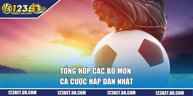 Tổng hợp các bộ môn cá cược hấp dẫn nhất